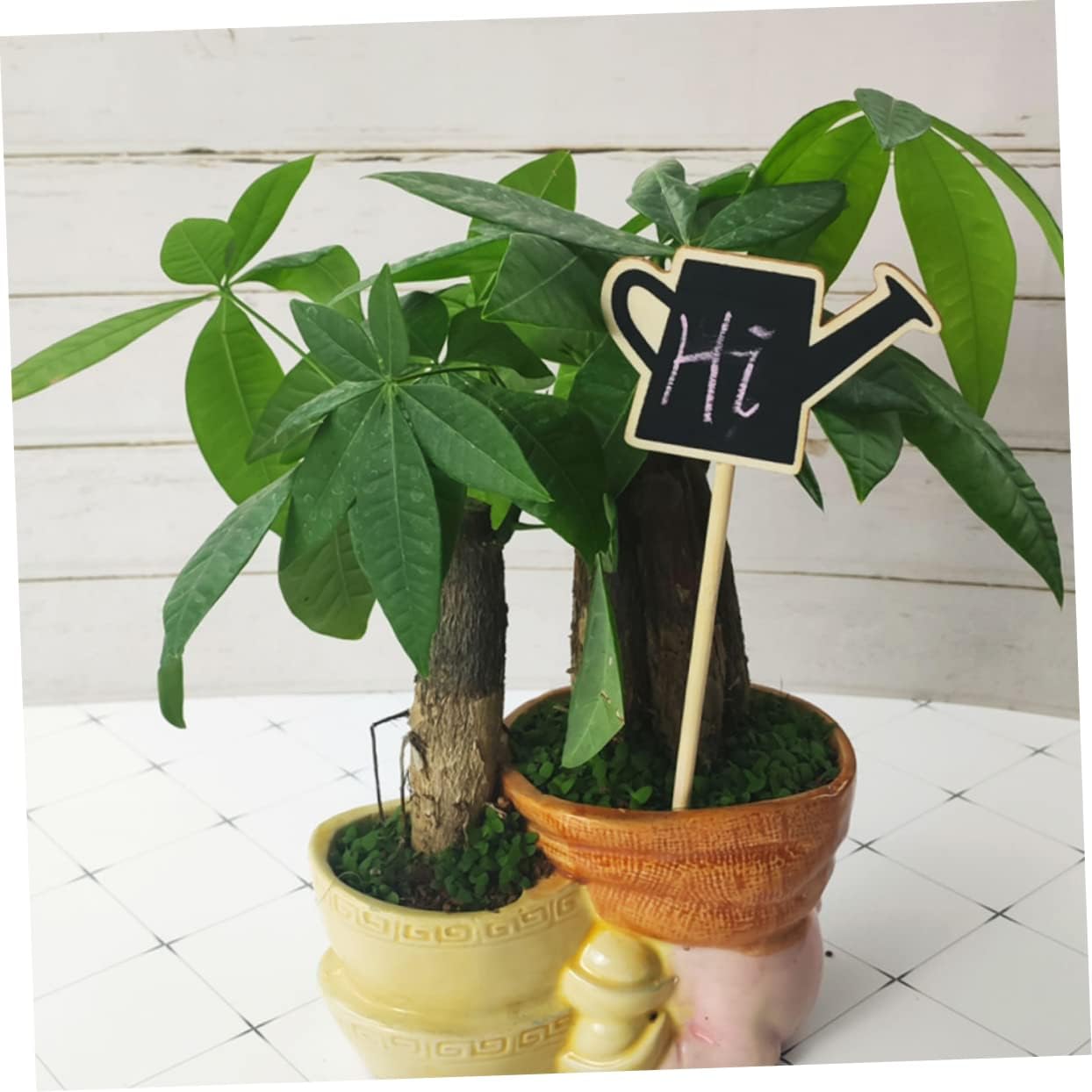 20pcs Boys and Girls Chalk Signs Chalkboard Easel Tabletop for Party Food Buffet Plant Labels Blackboard Decor
