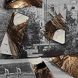 Platten [Explicit]