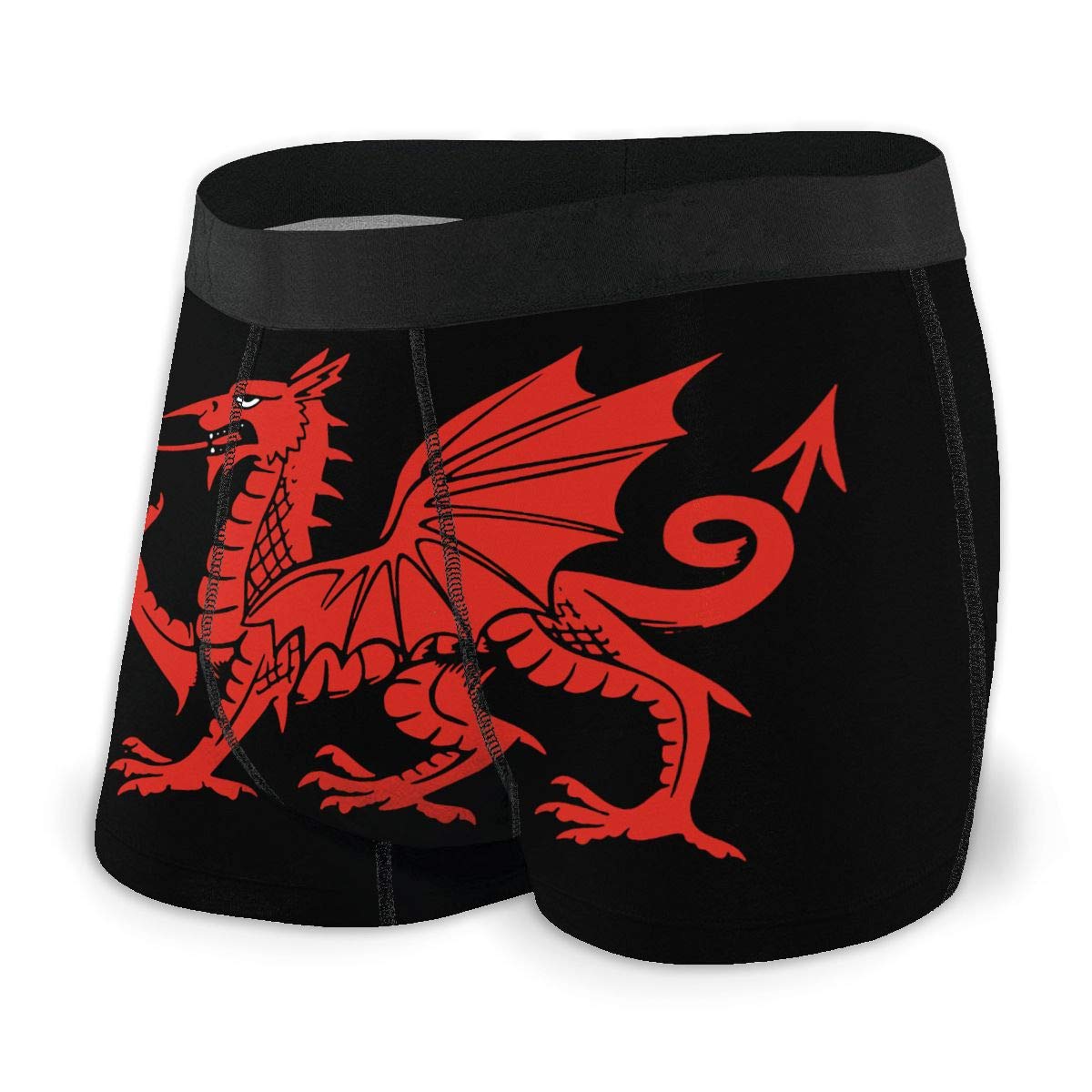 SJOAOAA Men's Classics Boxer Brief Welsh Dragon Novelty Boxer Shorts Print Underwear Stretch Boxer Trunk with Pouch Black