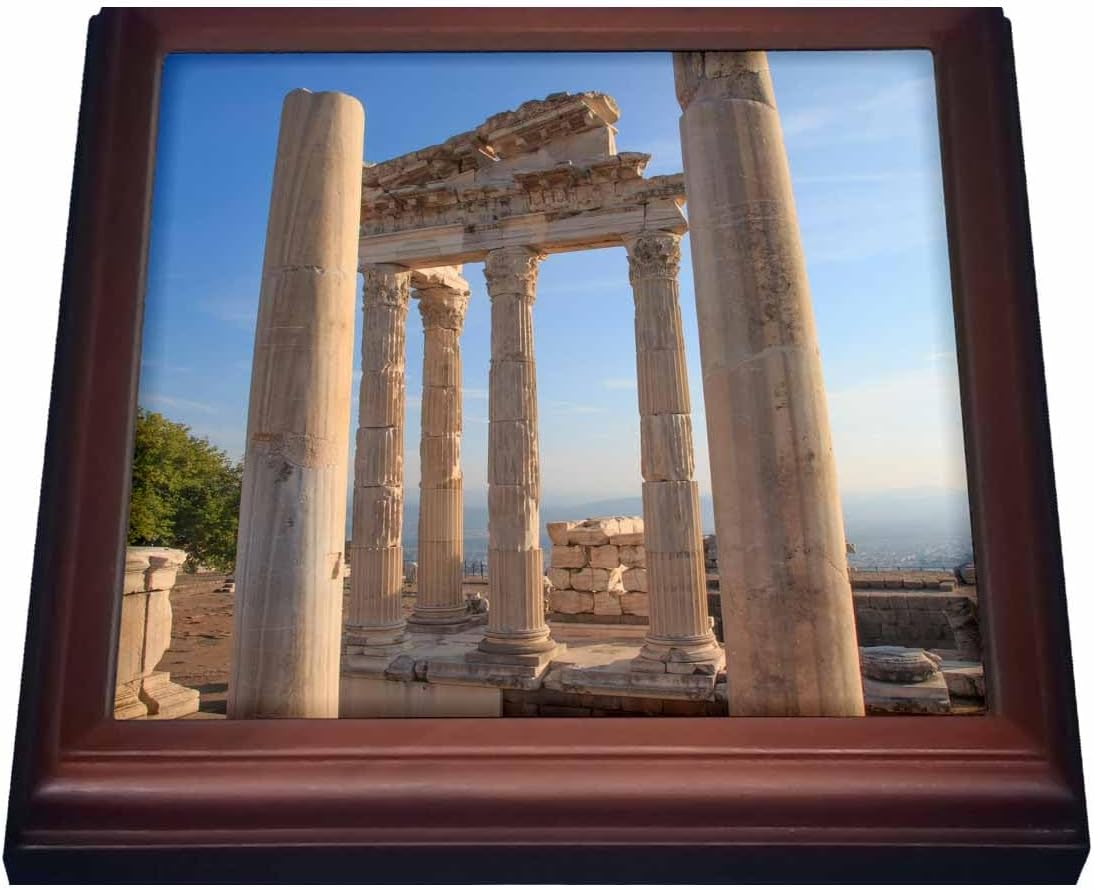 3dRose Trivet, 8 by 8-Inch, Brown