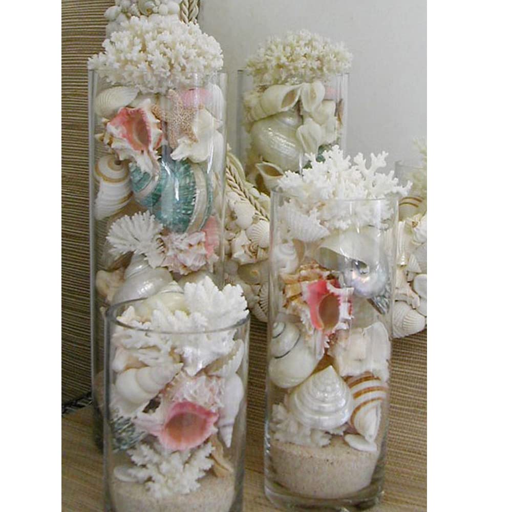 Rishabh Home Decoration Glass Clear Cylinder Vase Floral Cylinder Glass Vase for Weddings, Events, Decorating, Arrangements, Flowers, Office, or Home (Set of 3) 3