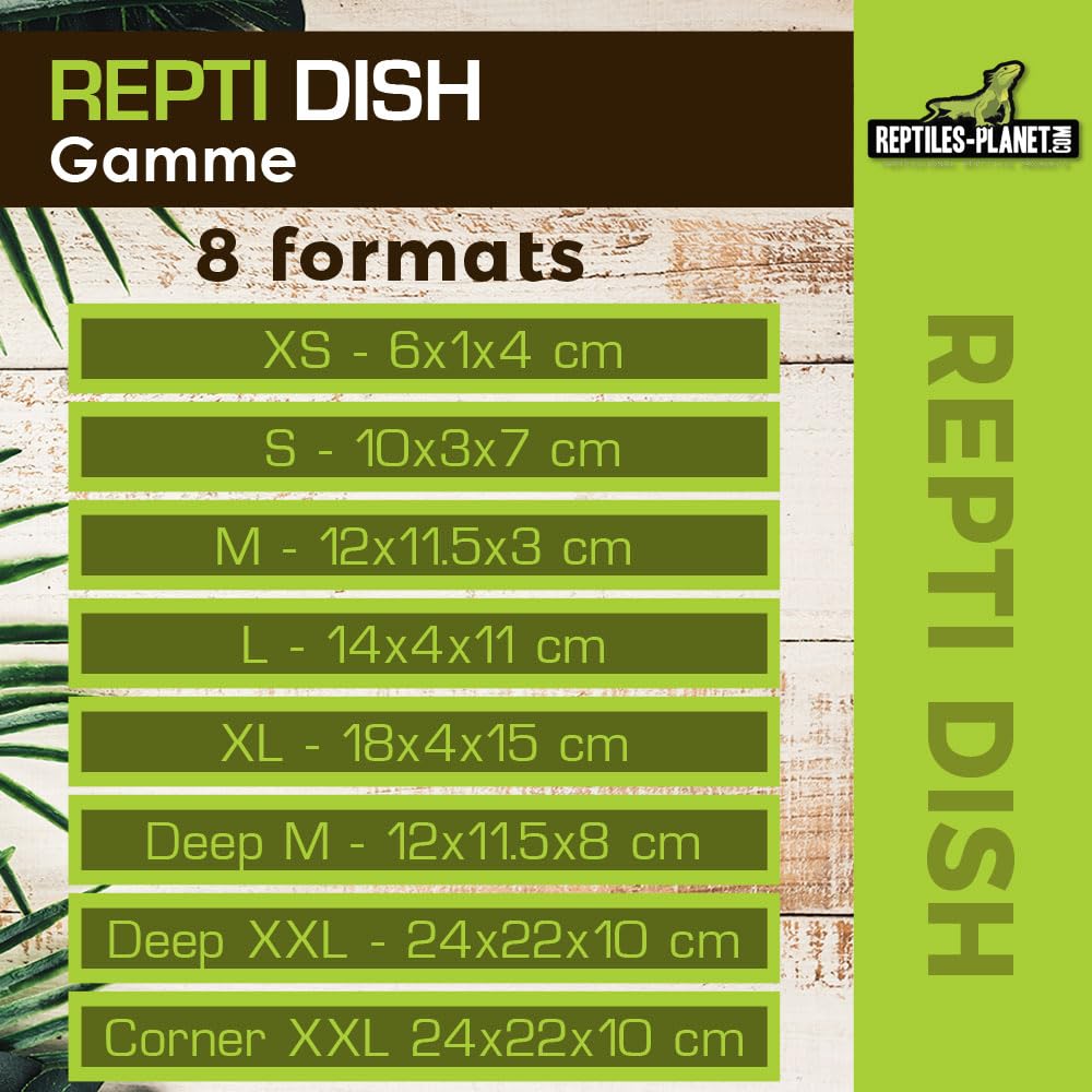 Reptiles Planet Repti Dish Deep M Gamelle pour Reptiles 12 x 11,5 x 8 cm