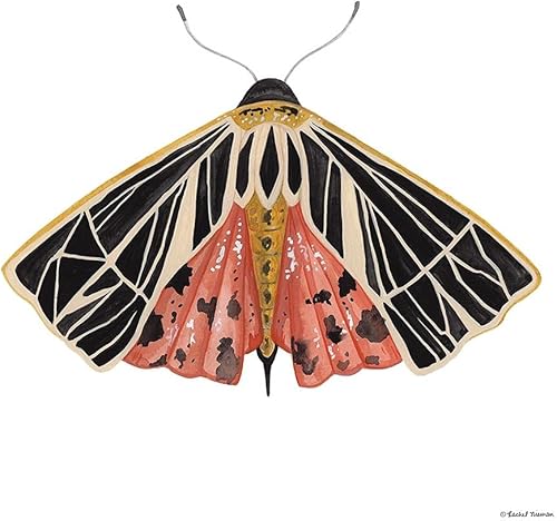 Posterazzi PDXRN326LARGE Obra de Arte, Grande, Multi