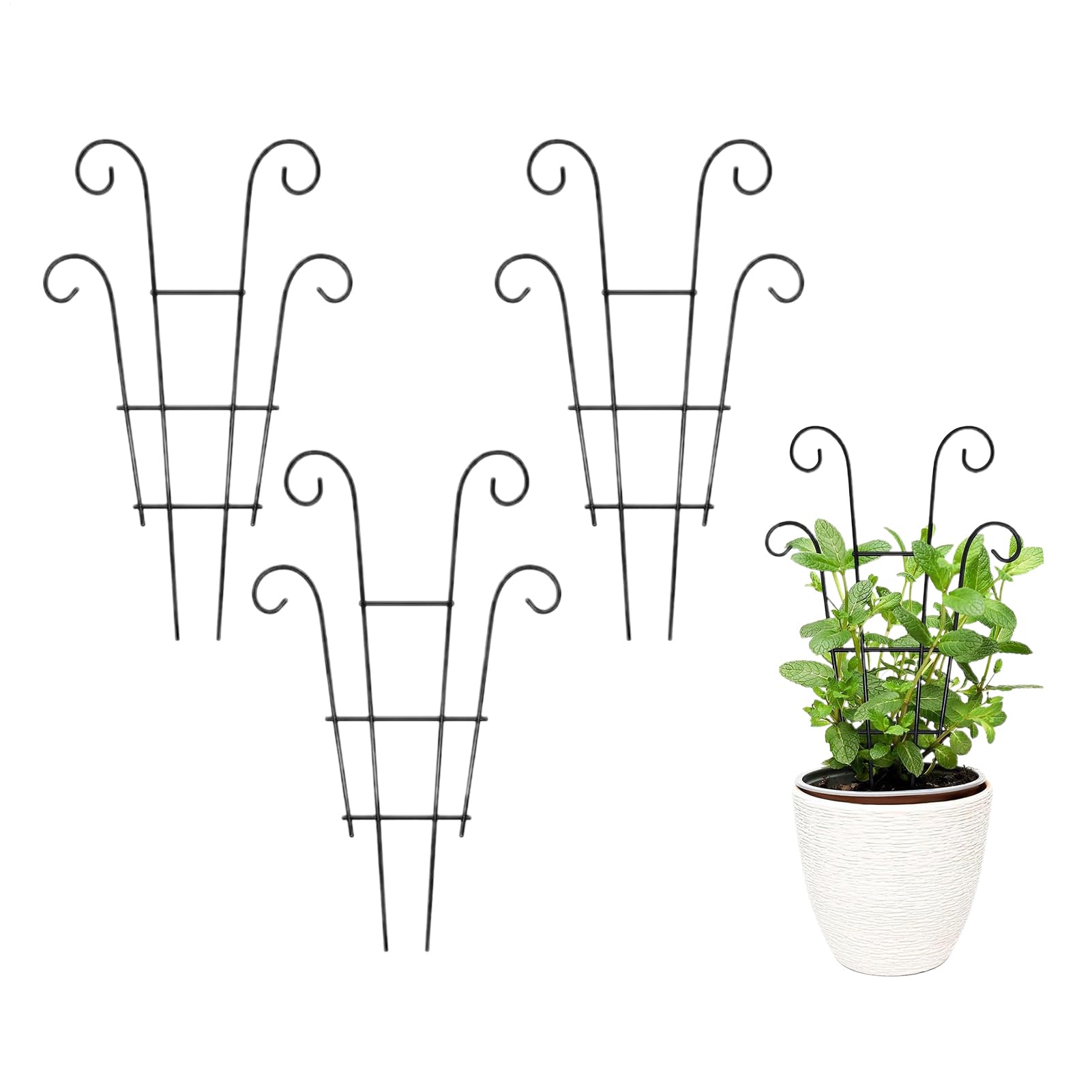 Tuteur en pot pour monstera et lierre idéal pour décorer le salon ou la terrasse