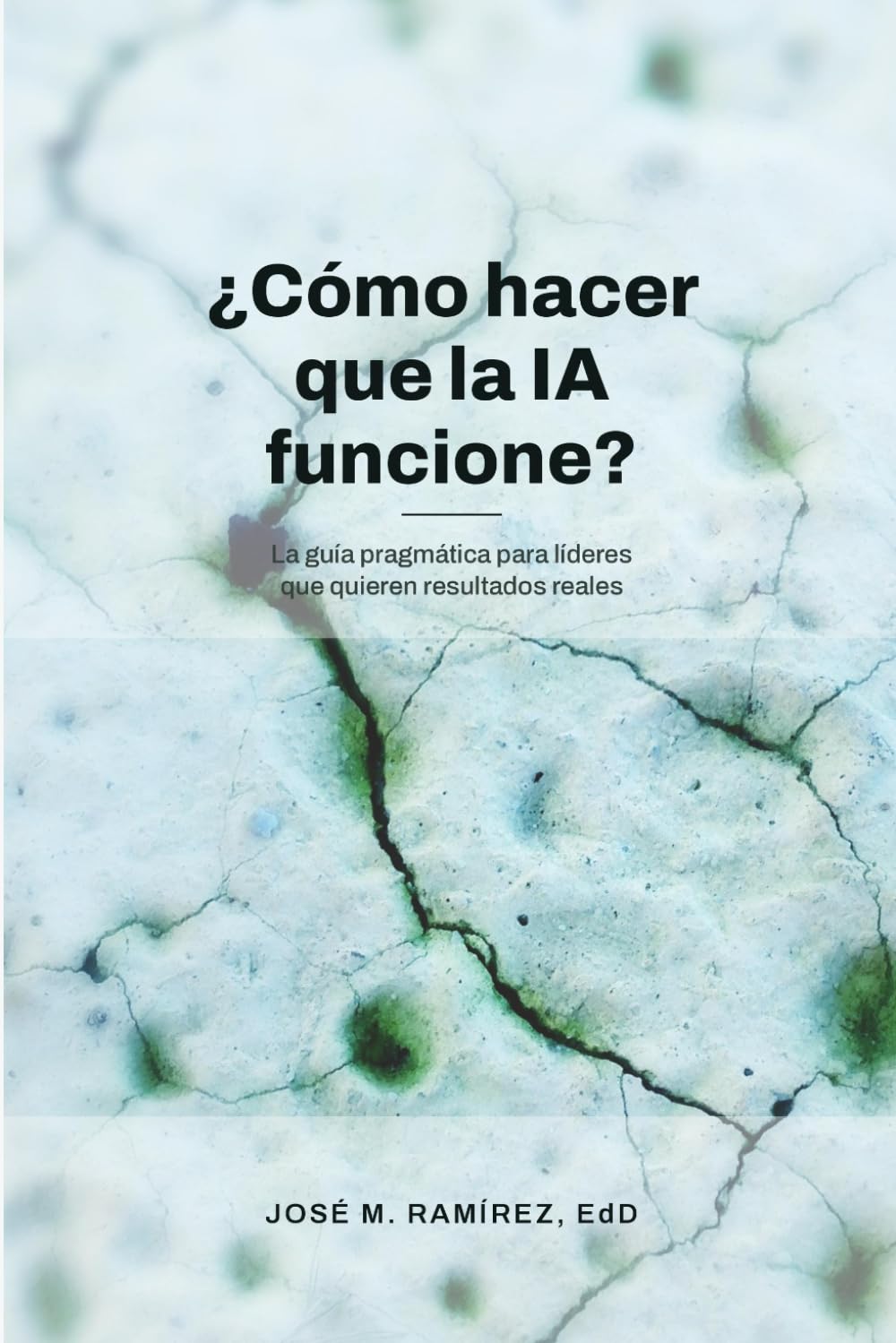¿Cómo hacer que la IA funcione?: La guía pragmática para líderes que quieren resultados reales