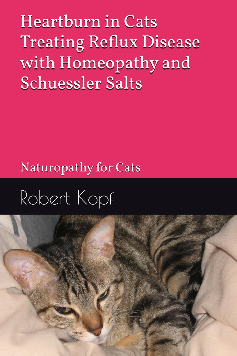 Heartburn in Cats - Treating Reflux Disease with Homeopathy and Schuessler Salts: Naturopathy for Cats