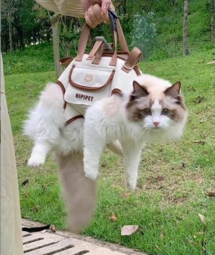 犬 猫 リード ハーネス リュック セット抜けない猫用ハーネス つけ やすい かわいいペットバックパック 牽引ロープ 胸当て 胴輪小型犬 収納バッグ付き お出掛お散歩 引っ張り防止 犬 散歩 アウトドア用 旅行用 小型犬 (ベージュ, L)