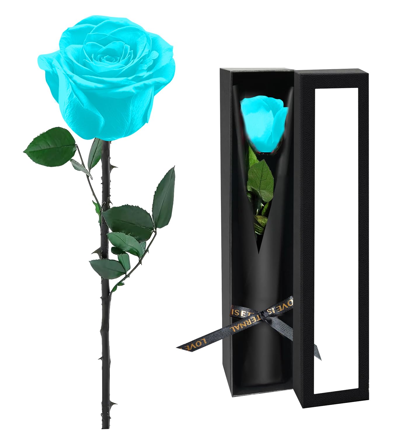 Lovinna Preserved Flowers - dried and preserved flora | Mubboo