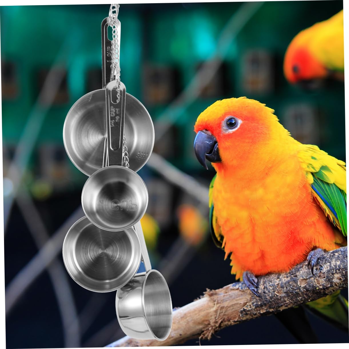 2pièces Jouet Suspendu Acier Inoxydable pour Oiseaux Accessoire à Mâcher pour Perroquets Et Oiseaux Jouet De Forage Amusant pour Cage