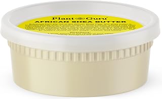 PlantGuru Raw African Shea Butter 8oz Ivory - 100% Pure Unrefined Natural Moisturizer for Dry Skin, Face, Hair Growth & DIY Soap Lip Balm