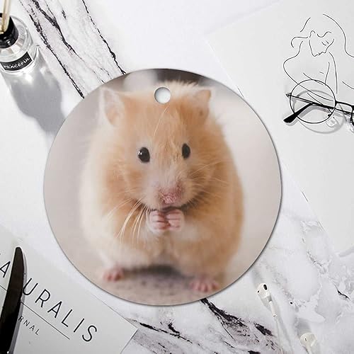 Vista 23 de Adorno de Navidad de gato atigrado decorativo colgante adorno de árbol de Navidad, adornos de recuerdo de Navidad, adornos de recuerdo de 3 pulgadas