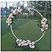 Accesorios de Arco de Boda Fondo Redondo Anillo Hierro Boda Fondo Decorativo Círculo Arco Césped Seda Flor Artificial Fila Soporte Estante de Pared para Ceremonia Arco Telón de Fondo (Talla : 2m)