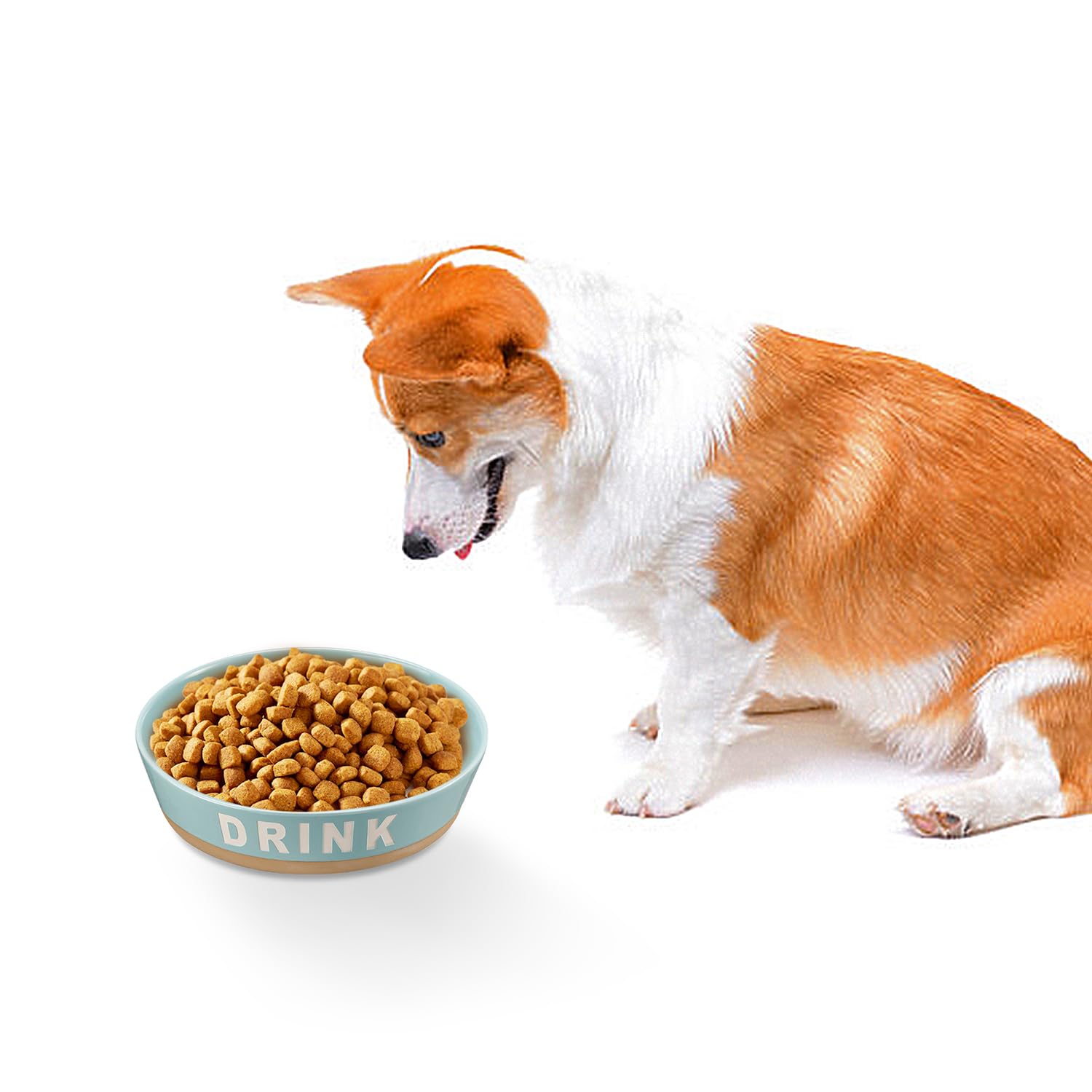 Pet Supplies : 10" Non-Slip Ceramic Dog Bowl, 71 Oz Heavy-Duty Dog  Food/Water Dish, Pet Feeding Bowl for Medium-Sized Dogs and Large Breeds,  Food Grade Porcelain Pet Feeder Bowl, Microwave and Dishwasher