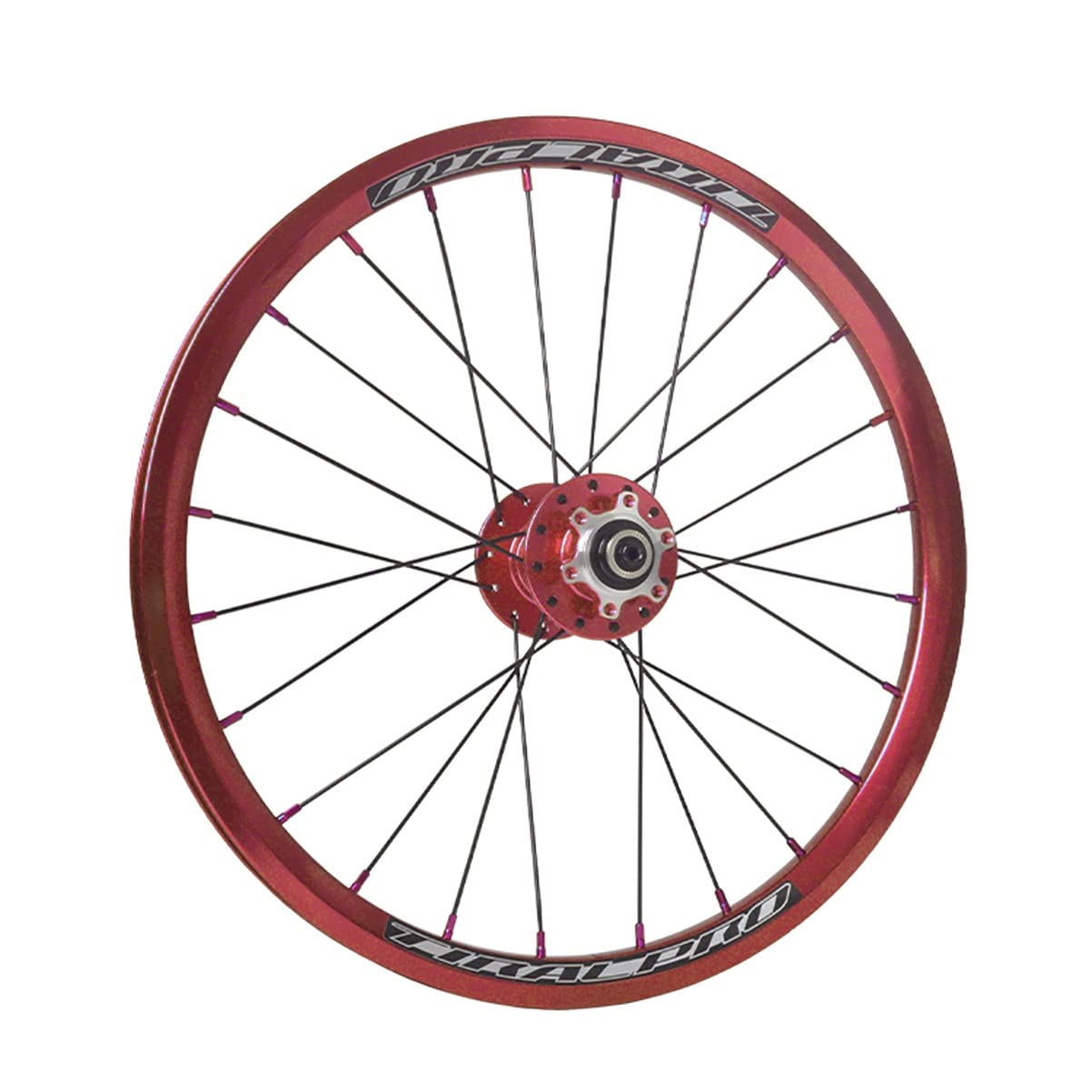 Amazon | EKFCNVK 折りたたみ自転車用ホイールセット 16 インチ
