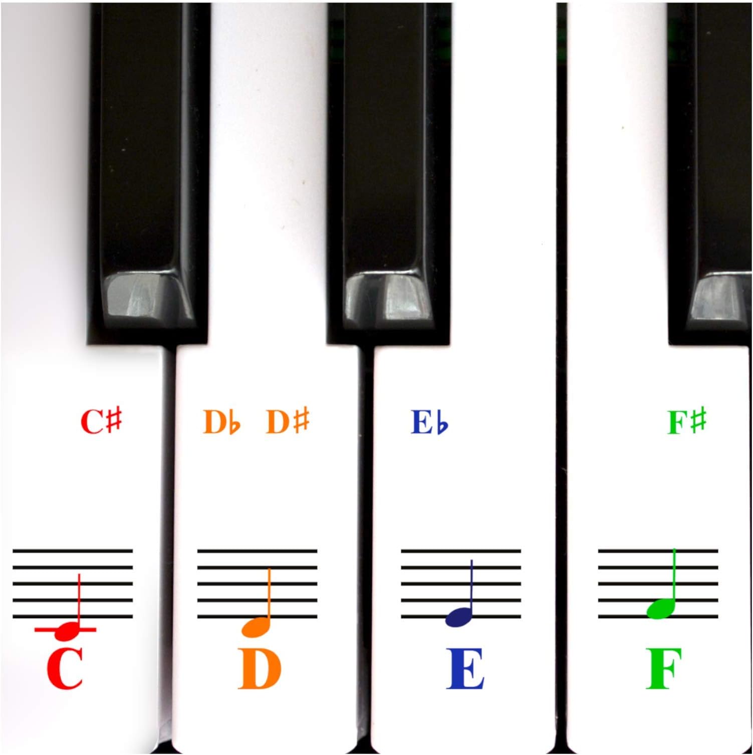 Piano Keyboard Note Stickers for White Keys for Upto 88-Key Keyboards. Bright Colorful Letters, Transparent and Removable, Perfect Visual Tool for Kids and Beginners - 2 Pack