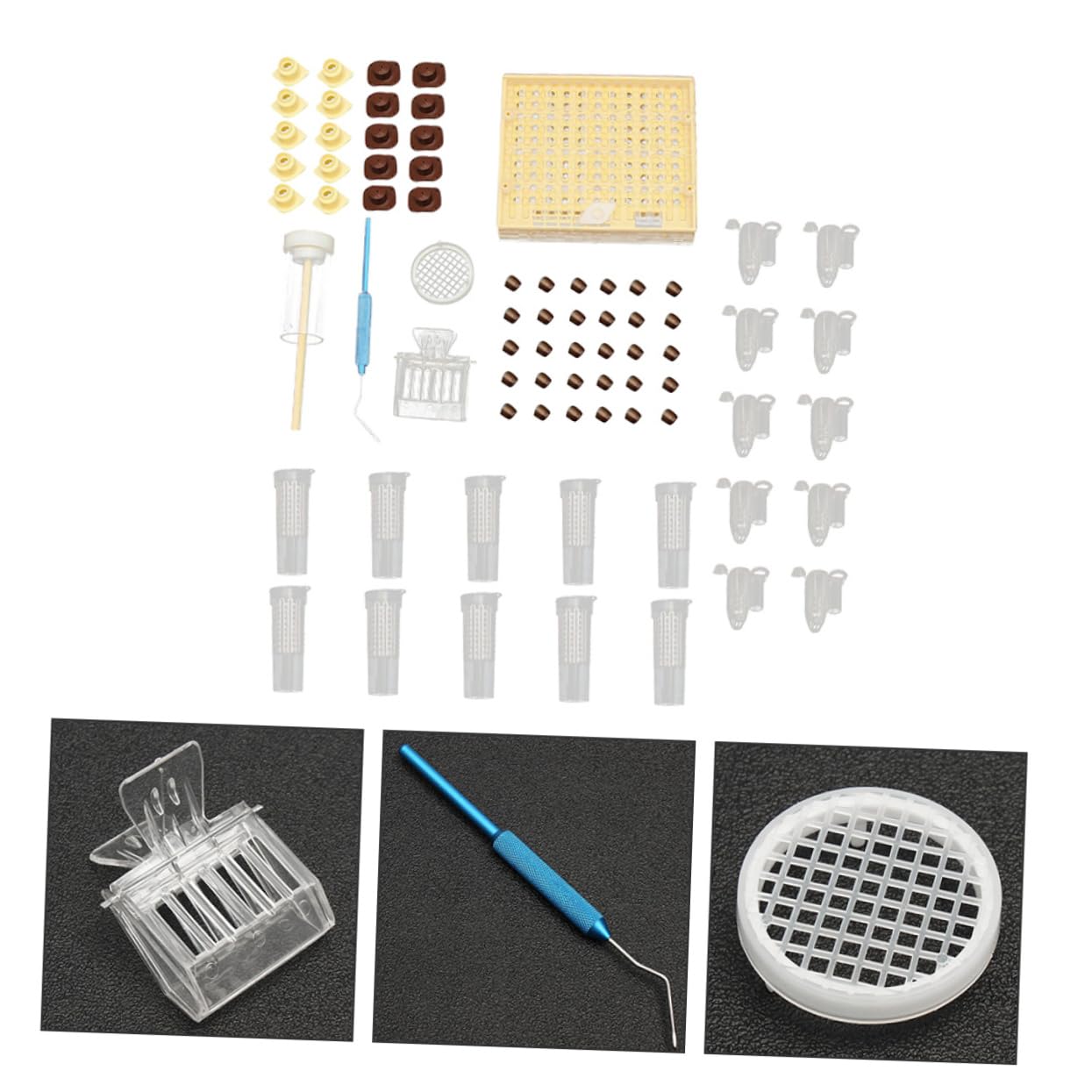 Milisten Caja De Cría Queen De Plástico Kit De Copas Para Celdas De Abejas Herramientas De Apicultura