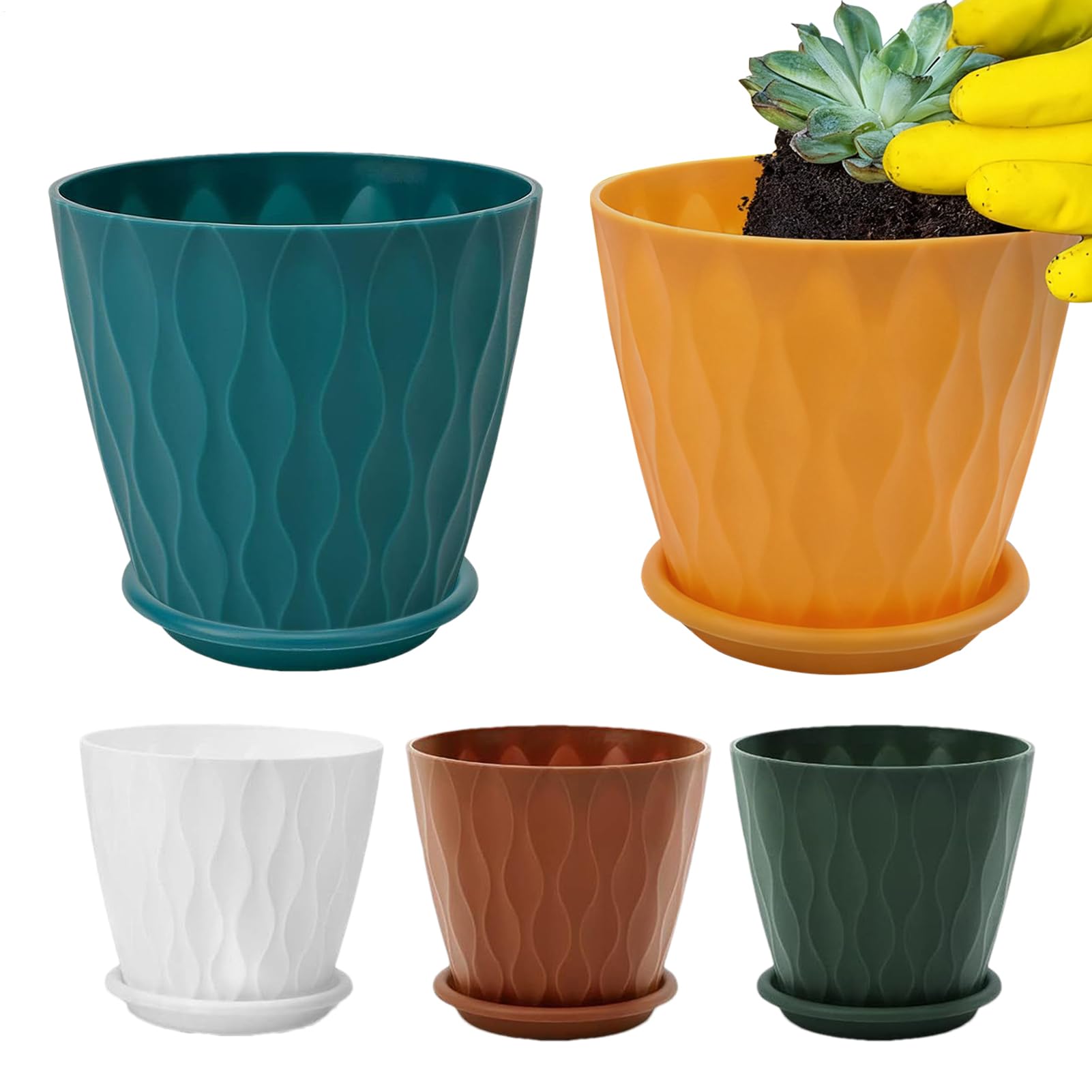 Pots de fleurs intérieur pour éviter le pourrissement des racines de vos cactus de salon