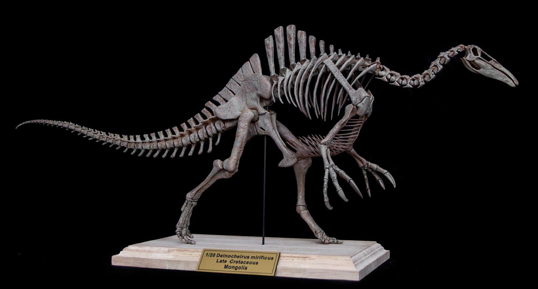 Amazon | 恐竜博物館 1/20 サイズ デイノケイルス Deinocheirus