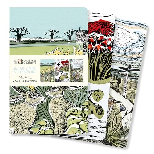 Angela Harding: Landscapes Set of 3 Mini Notebooks: 1 (Mini Notebook Collections)