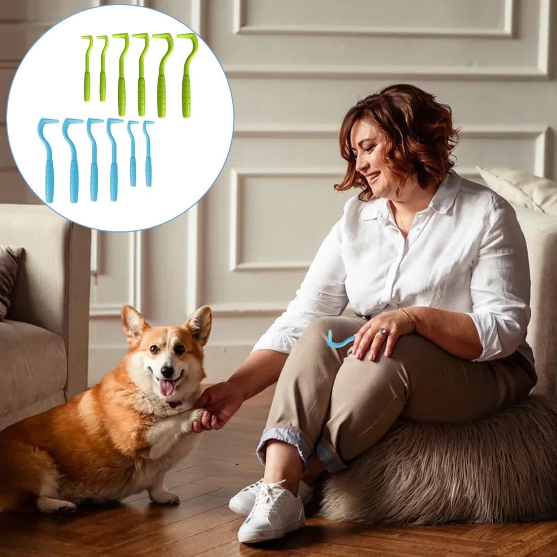beejune 6 Stück Zeckenzange für Hunde, Zeckenzange Katze, Zeckenhaken, Zeckenzange Zeckenhaken, für Alle Größen Von Zecken(Grün, Blau)