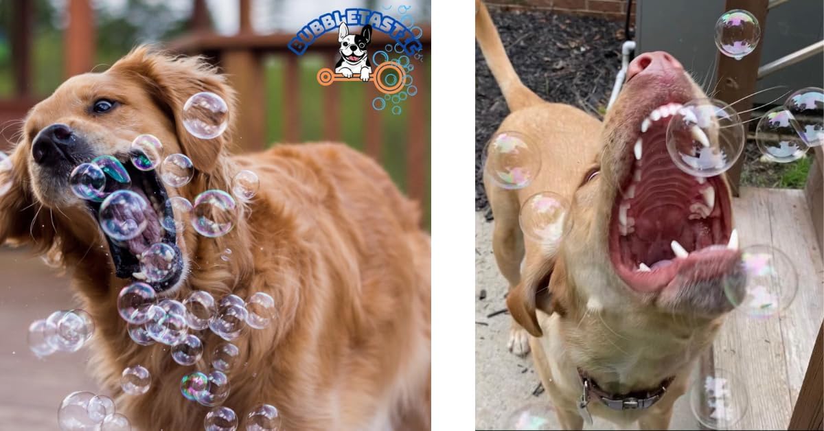 Bubbletastic Bacon Bubble Machine for Dogs - with Free 8oz. Bottle of Bacon Bubbles!