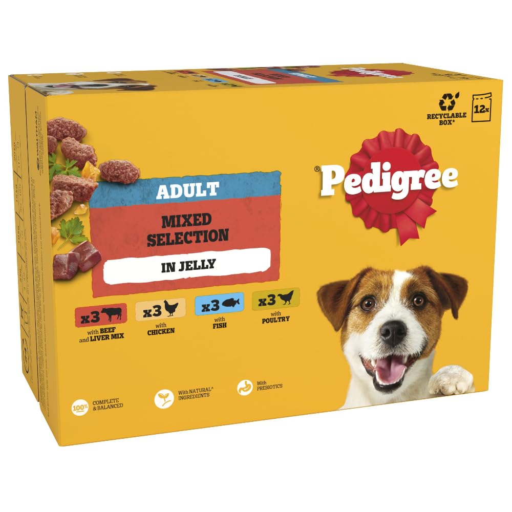 PEDIGREE Adult Dog Food Pouches Mixed Selection in Jelly 4 x 12 x 100 g