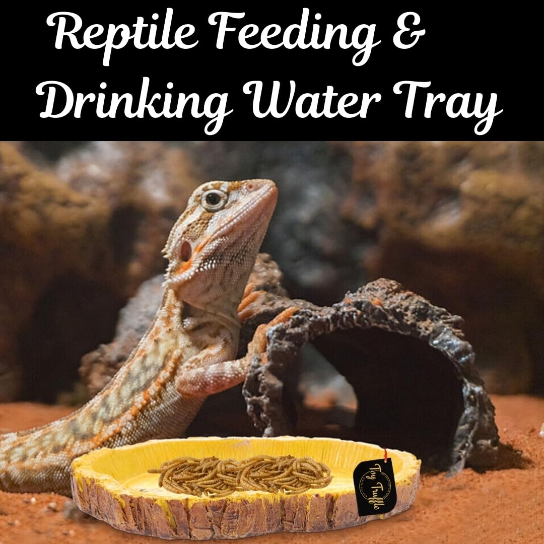 Toy Truffle Reptile, Turtle Gastronomy Dish: Elevate Your Pet's Dining Rituals with a Strong and Adaptable Feeding Tray, Perfect for Showcasing Healthy Fare with Elegance, Opulent Dining Experience 4
