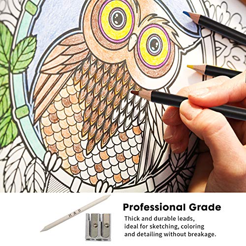 YBLANDEG-Sketching-and-Drawing-Colored-Pencils-Set-96-PiecesArt-Supplies-Painting-Graphite-Professional-Art-Pencils-KitGifts-for-Teens-Adults-Drawing-Charcoal-Tool-Set