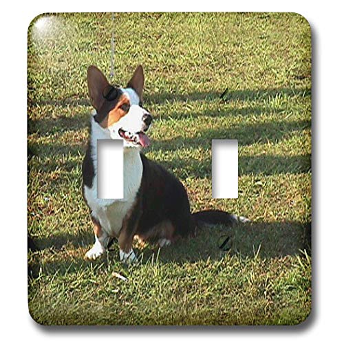 Interrupteur à bascule double Cardigan gallois Corgi 3dRose