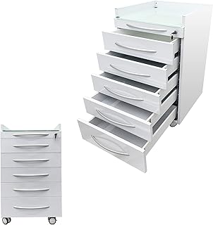 LGXEnzhuo Dental Cabinet Mobile Cart Stainless Steel Storage Organizer Moving Side Cabinet 5 Drawers for Home Office Beauty Salons