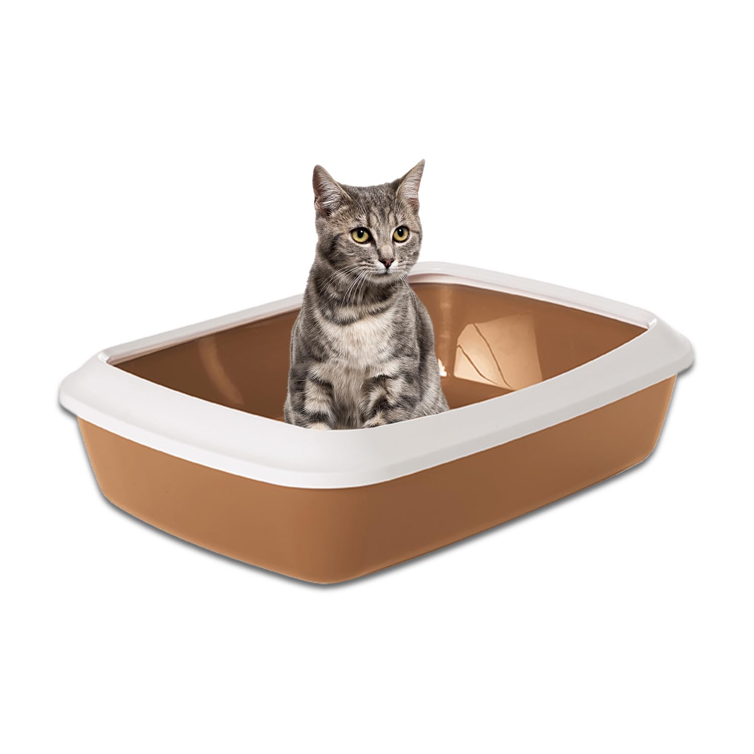 Savic Iriz Cat Litter Tray with Rim, 20", Prevent Throwing of cat Litter, Durable, Lightweight, Easy to use and Reduces Odor, Perfect Starter for Toilet Training Your Kitten, Nordic Brown (B09FKHTG53) Amazon Price History, Amazon Price Tracker
