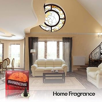 HEM Frankincense Incense Cones (Pack of 12-120 Count) | Long Lasting Aroma | for Positivity, Stress Relief, Air Purifier & Pooja