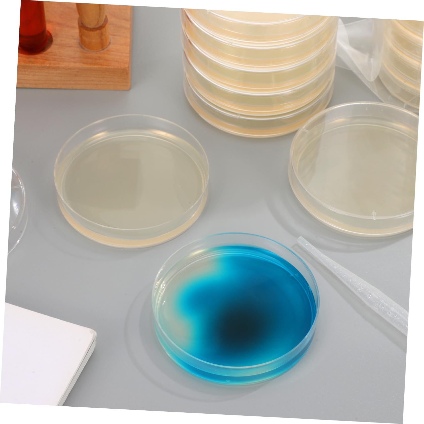 PartyKindom Piastre con Agar Nutriente Preversate 7cm 20 Pezzi per Esperimenti Scientifici e Uso in Laboratorio, Materiale Agar per Crescita Batterica Rapida