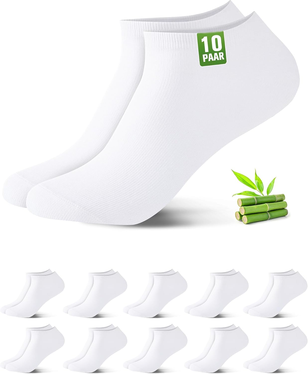 Vue 10