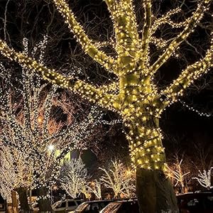 Kemooie500ledchristmasstringlights164ft8lightingmodewithmemoryplugingreenwirewaterprooflightsforoutdoorbirthdaychristmasweddingpartygardenbalconydecorationswarmwhite Urban Country Home Decor Kemooie 500 led christmas string lights 164ft 8 lighting mode with memory plug in green wire waterproof lights for outdoor birthday christmas wedding party garden balcony decorations warm white urban country home decor