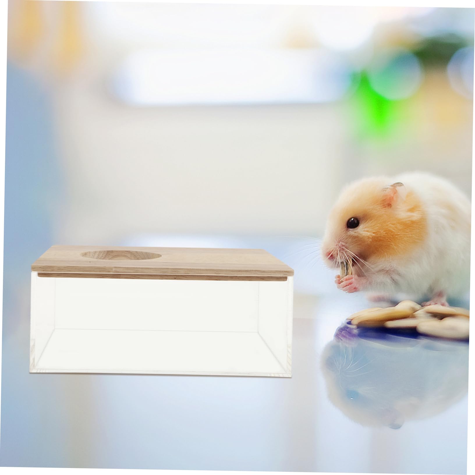 Transparente Hamsterbadewanne aus Acryl mit Feinem Sandbad Leicht und Sicher für Kleine Haustiere für Zuhause und Tiergeschäft