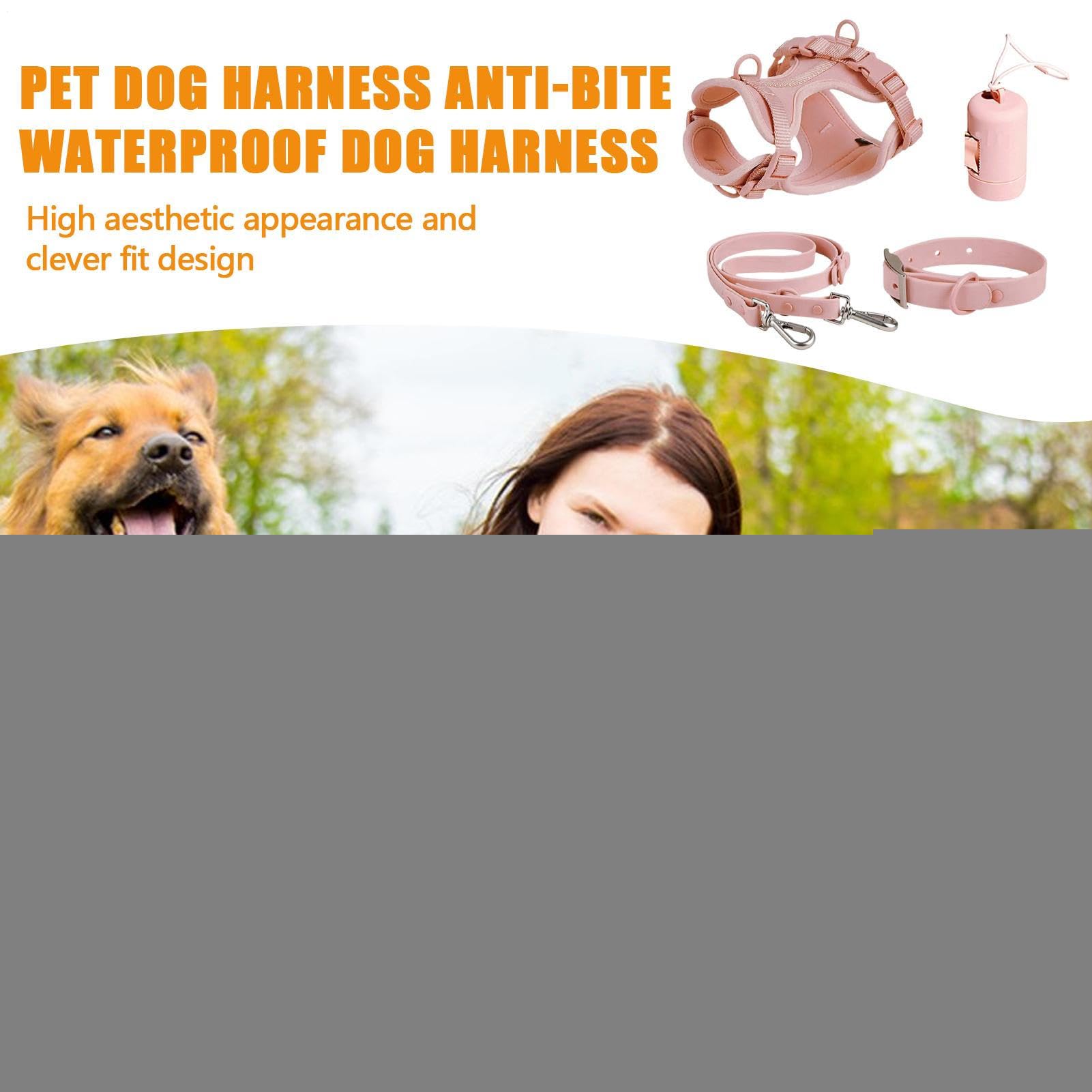 Set di guinzaglio per cani, pettorina per animali domestici, collare e | guinzaglio, pettorina per cani con guinzaglio, collare di sicurezza, regolabile con supporto per sacchetti per escrementi