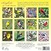 Songbirds of North America 2017 Mini Calendar