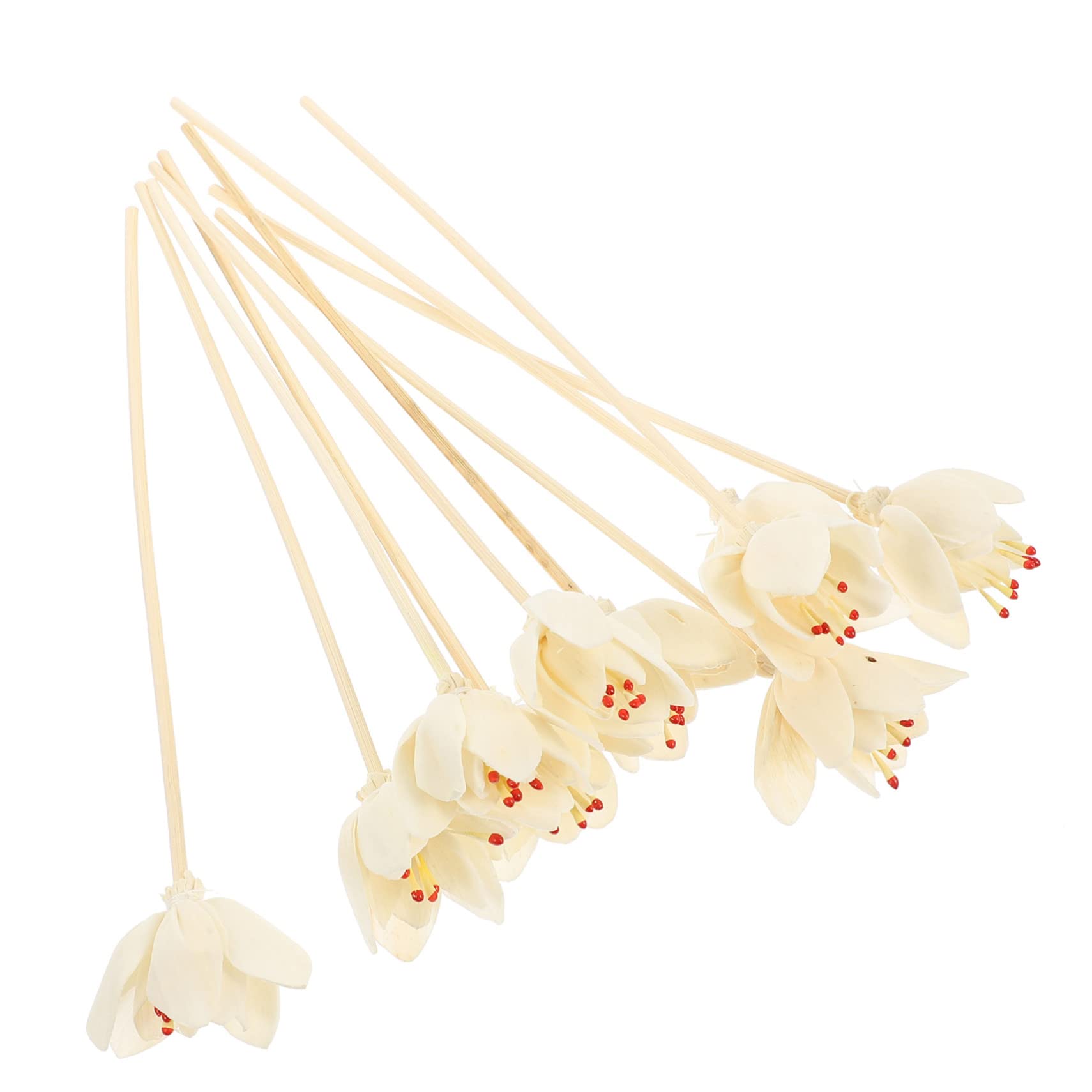Cabilock 5 Series Rota De Aromaterapia Oleos Essenciais Essential Oils Essential Oil Diffuser Baño para Botella De Aroma Inserta Palos Difusores De Aroma Decorativos Papiro 10 Piezas X 5