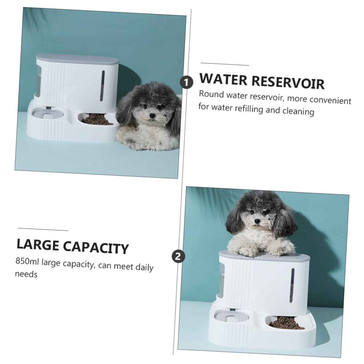 Distributeur Automatique d'eau et Croquettes pour Chat, 3l 0, 85l