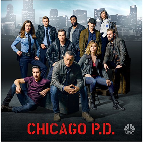 Chicago P.D. Jason Beghe as Hank Jesse Lee Soffer as Jay Patrick John Flueger as Adam and Sophia Bush as Erin 8 x 10 Inch Photo