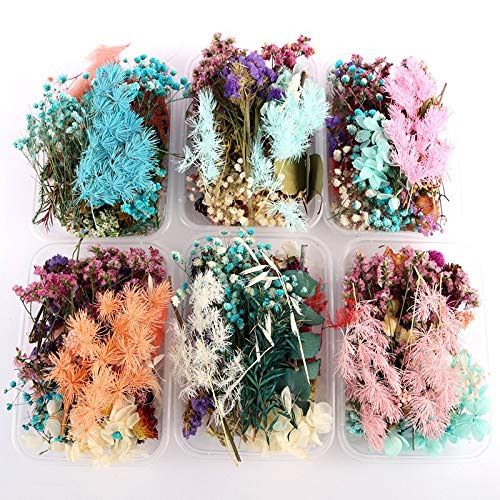 Flores secas prensadas para resina epoxi 1 caja miniatura 3