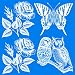 UV Bird Alert Collision Window Decals