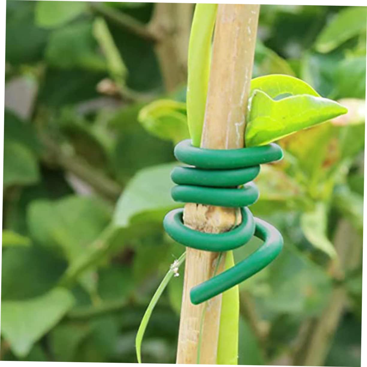 Levemolo Wiederverwendbare Pflanzenbinder für Garten, 2 Rollen Grün