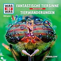 Fantastische Tiersinne / Tierwanderungen Titelbild