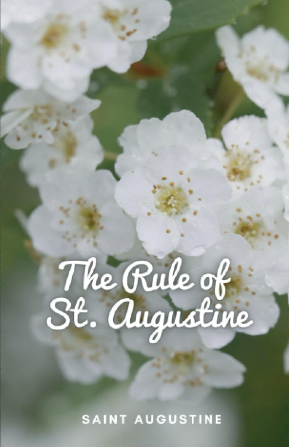 The Rule of St. Augustine