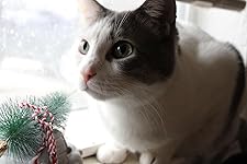 Review Image by Breezy Breezy