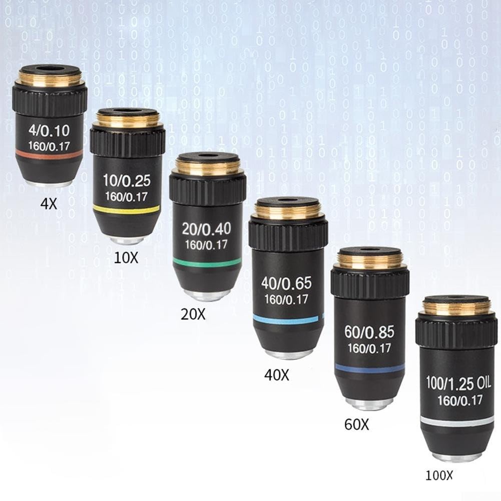 Obiettivo acromatico 195 per microscopi biologici, caratteristiche immersione in olio e design elastico per una visione sicura da 4X a 100X ingrandimento (20X)