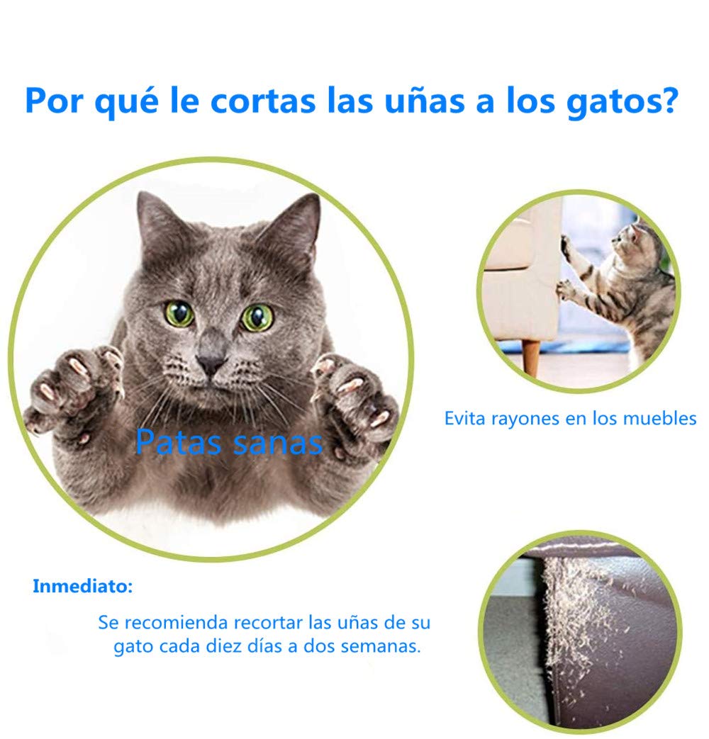 Voarge Coupe-ongles professionnel en acier inoxydable pour chiens, petits animaux et lapins, ciseaux en acier inoxydable Design incurvé de 25 degrés