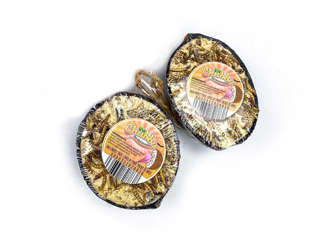 Chubby Suet Half Filled Coconuts Topped with Mealworms, Bird Feeder Coconut Halves for Wild Birds, Coconut Shell Suet Birds Food, Suet for Blackbirds, Woodpeckers, Starlings & Sparrows (2 Pack)